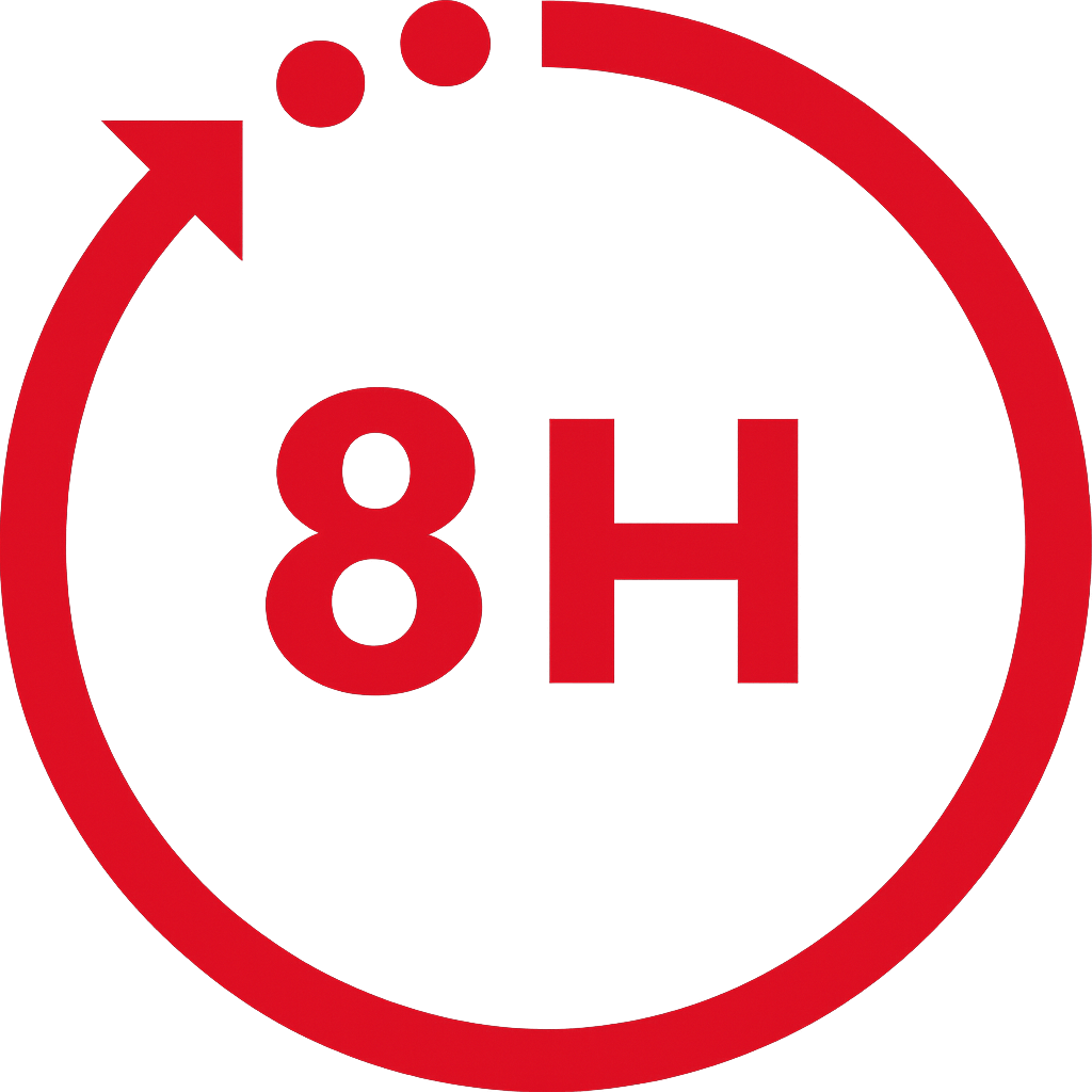 8 ore