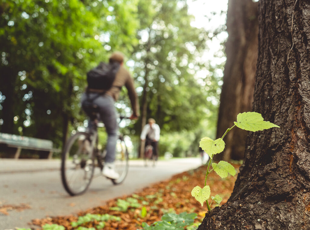 pista ciclabile